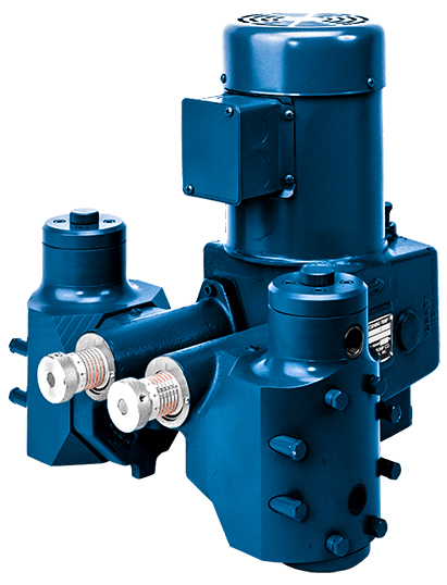 Neptune 500-D Series Chemical Metering Pump