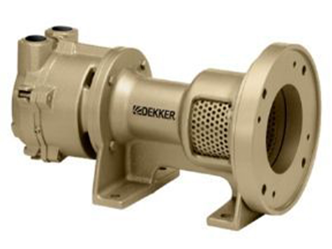 Dekker Titan Series Single-Stage Monoblock Liquid Ring Vacuum Pump