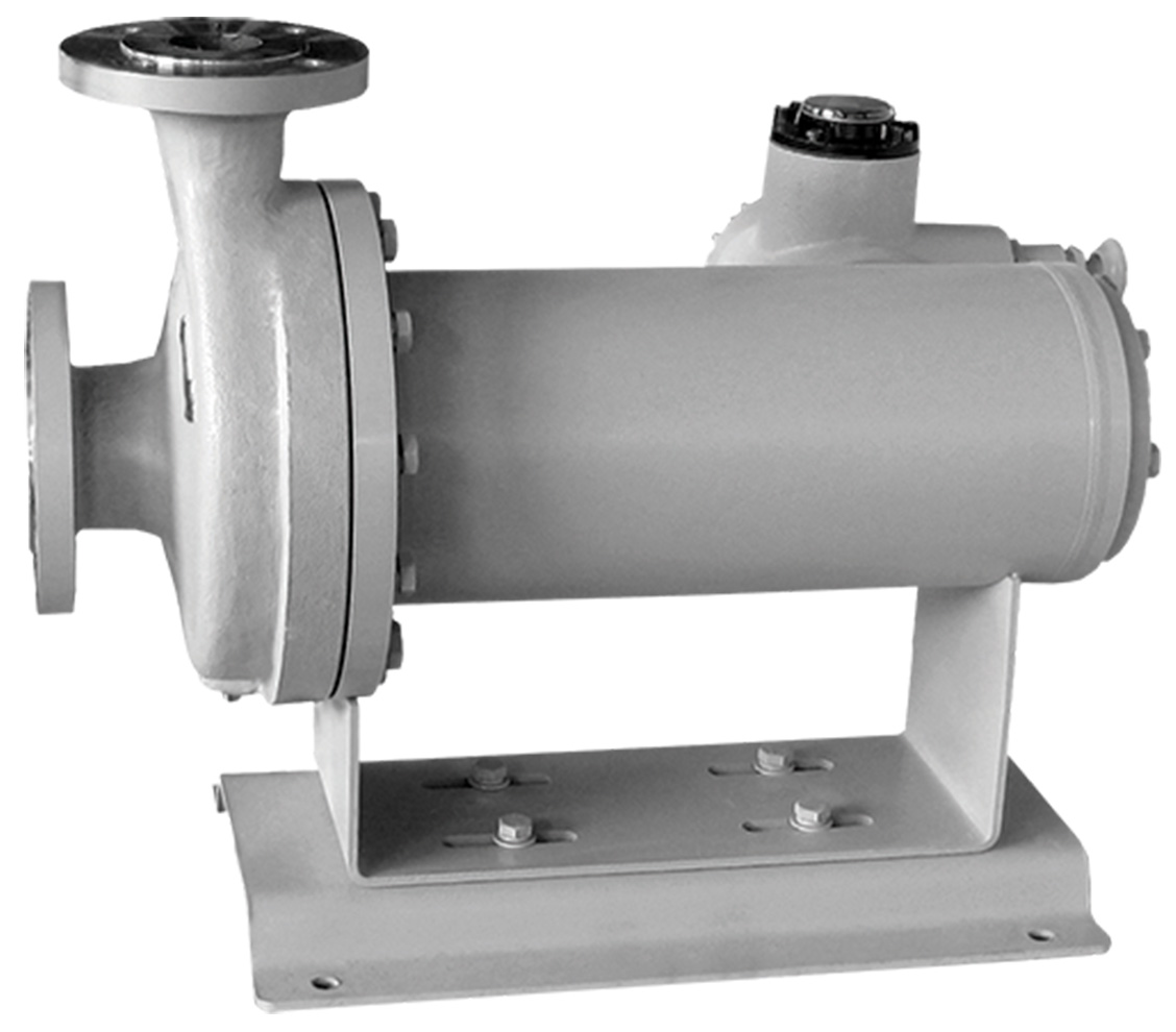 Hayward Tyler HV Hollow Shaft Canned Motor Pump