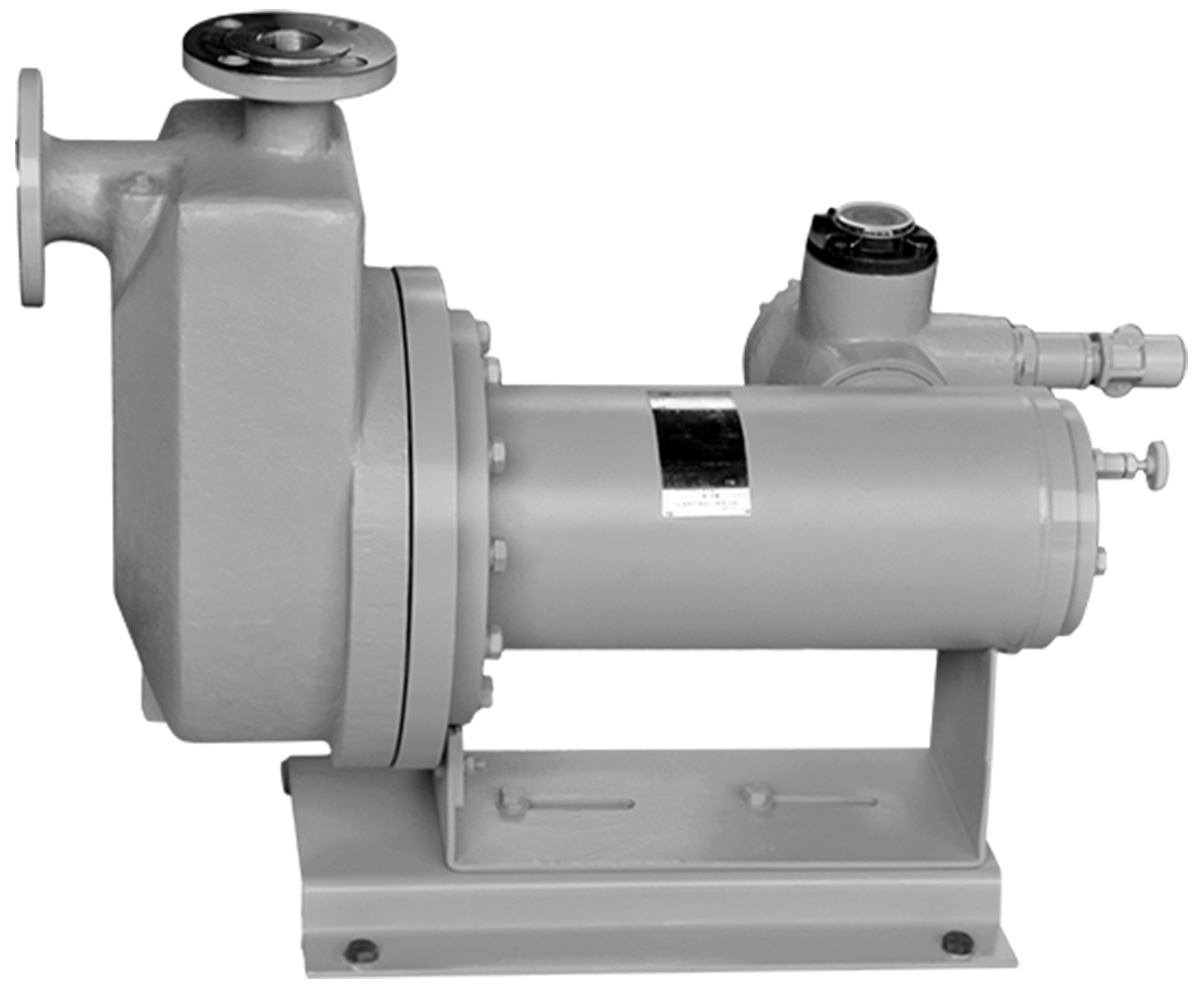 Hayward Tyler HZ Self-Priming Canned Motor Pump