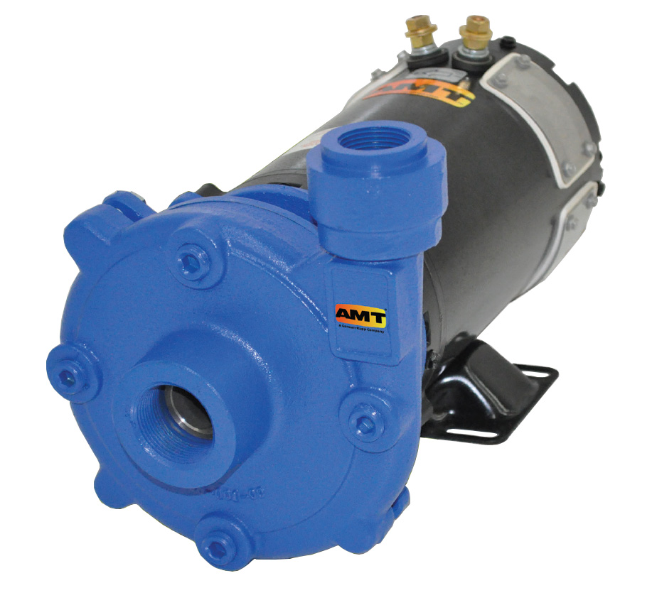 AMT 12DC Series 12V DC Washdown Pump