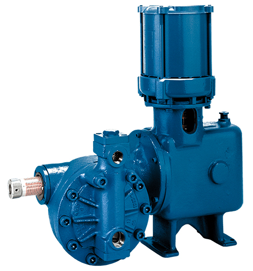 Neptune 6000 Series Chemical Metering Pump